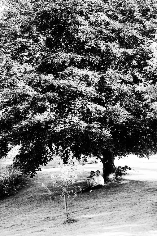 Le grand arbre du Prieuré — Siloë 2026