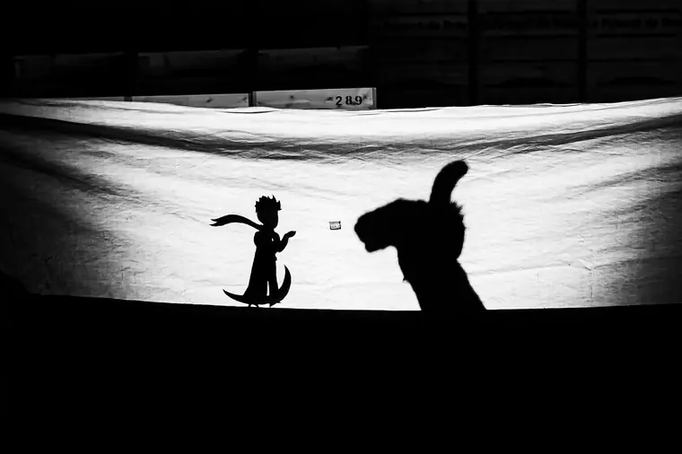Ombres chinoises : Le Petit Prince — Siloë 2026